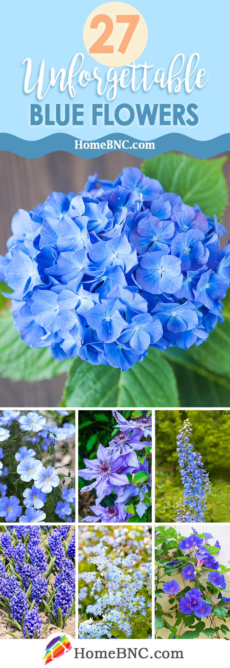 Blue Flowers