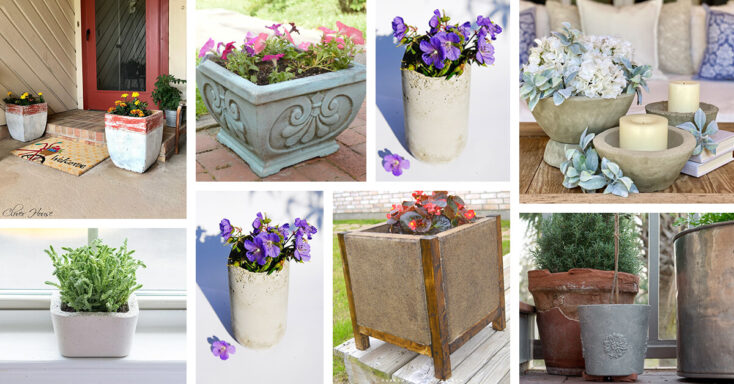 Featured image for 20 Stylish DIY Concrete Planter Ideas for Spaces Inside and Outside
