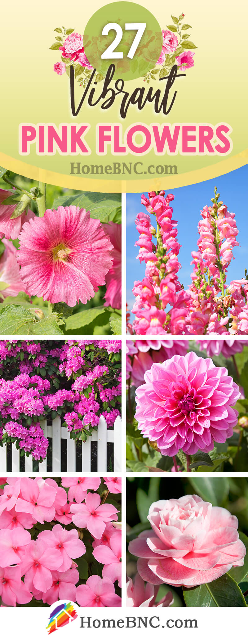 75 Plants With Pink Flowers: Names, Identifying, Gardening Tips