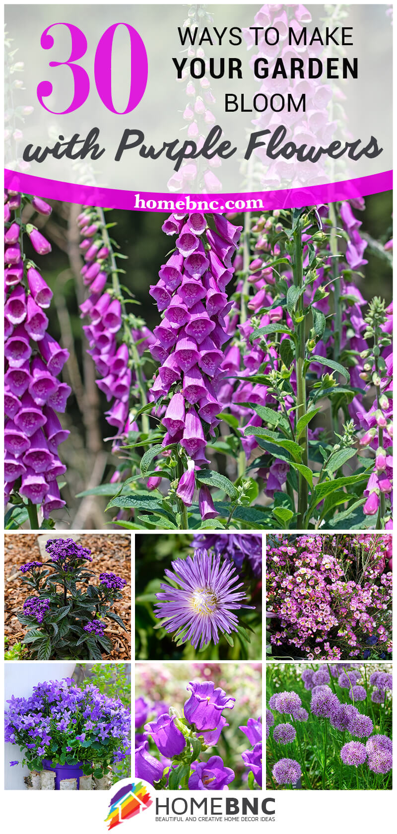 Purple Flower Ideas — Homebnc