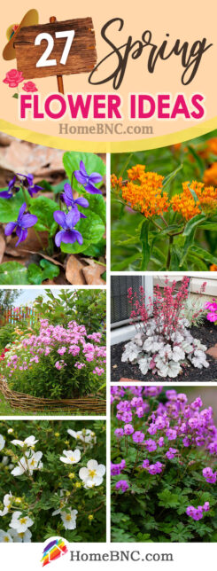 27 Best Spring Flowers to Plant in Your Garden in 2023