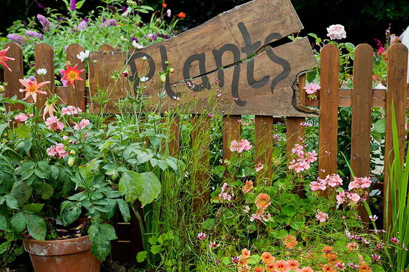 Garden sign placements