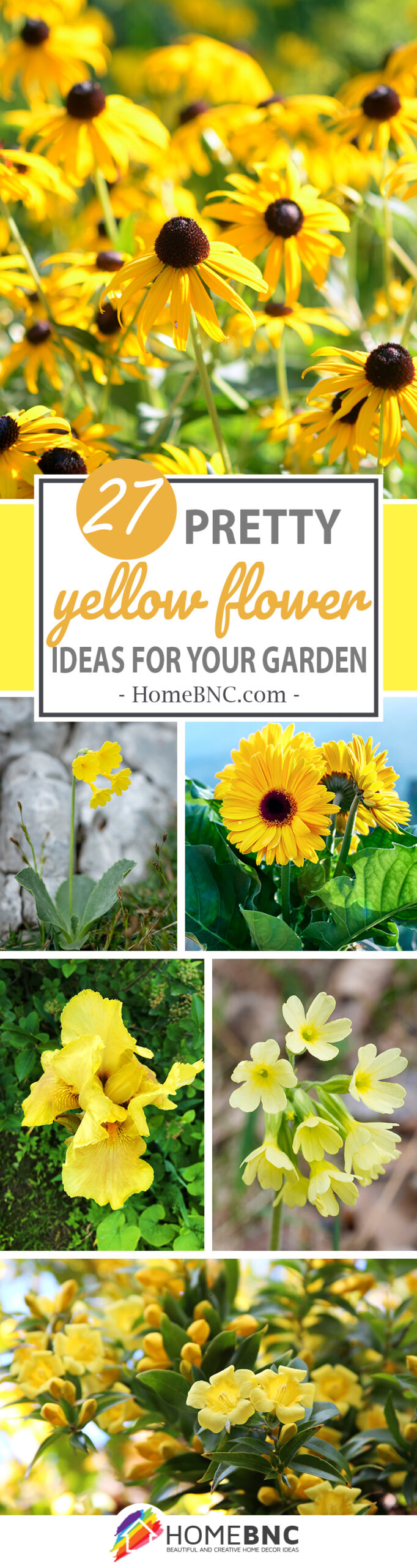 27 Yellow Flower Plants That Will Melt