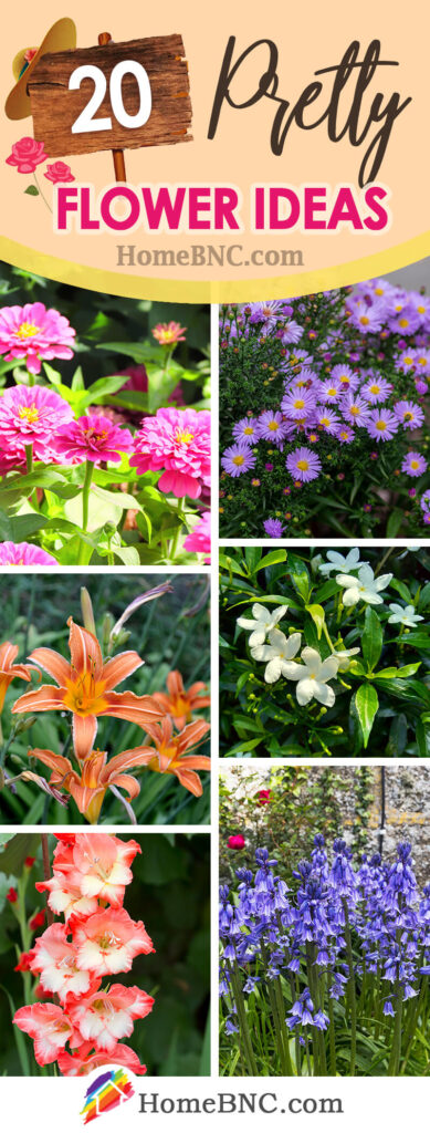 20 Pretty Flowers to Add a Splash of Color to Your Garden in 2023