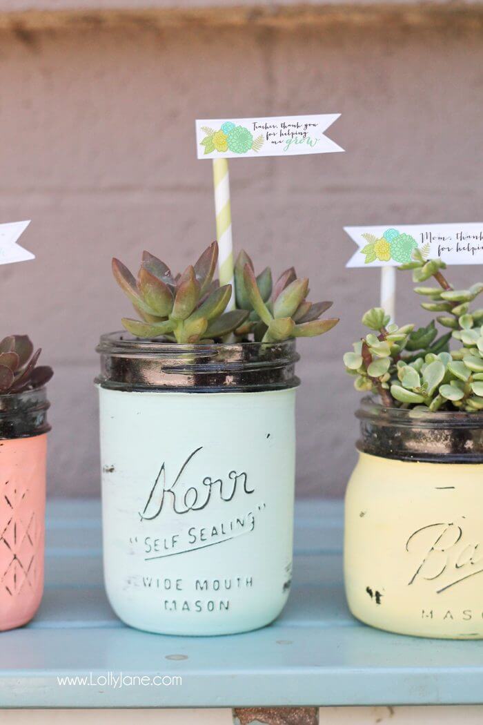 DIY Painted Mason Jar Succulent Pots