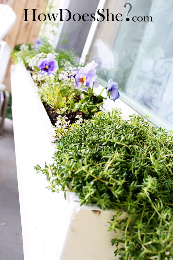 Gorgeous Decorative Window Flower Box