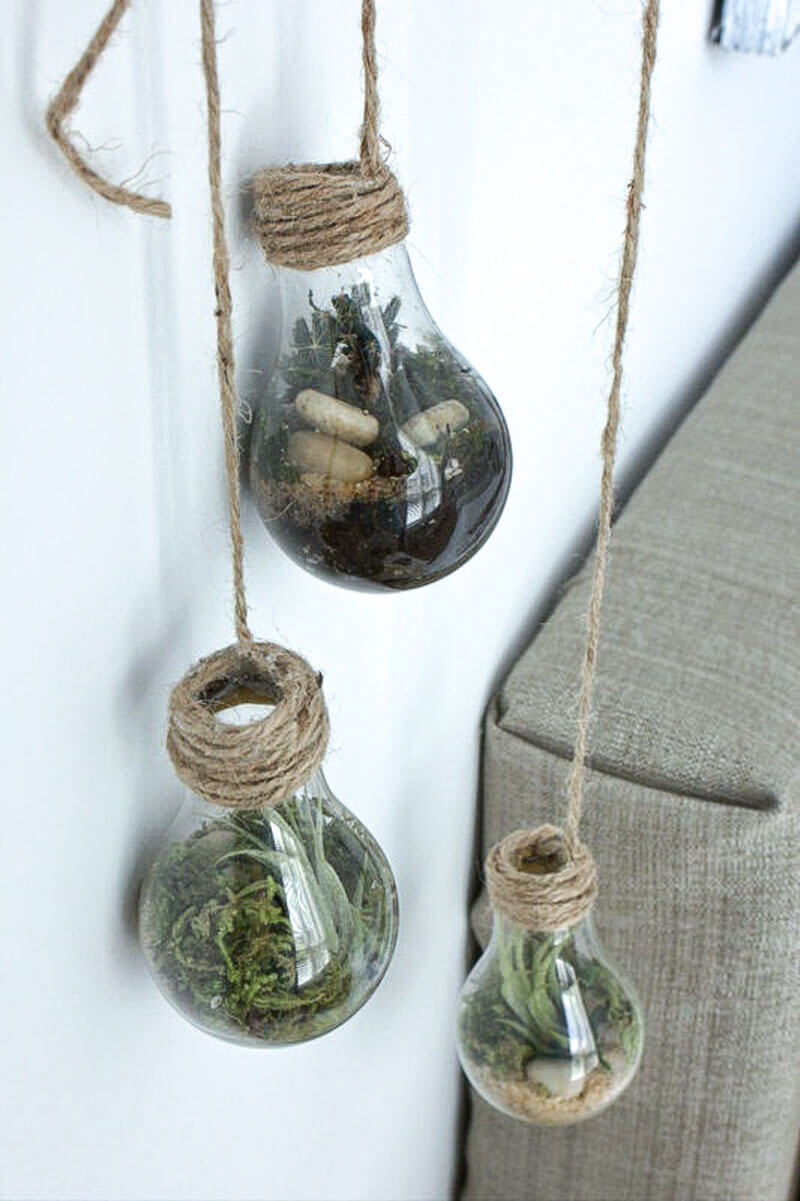 Cool DIY Light Bulb Terrarium