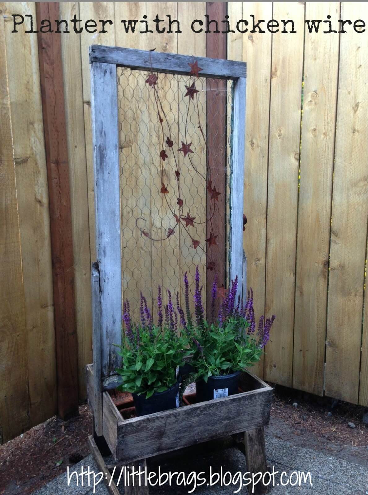 Tall Planter with Chicken Wire