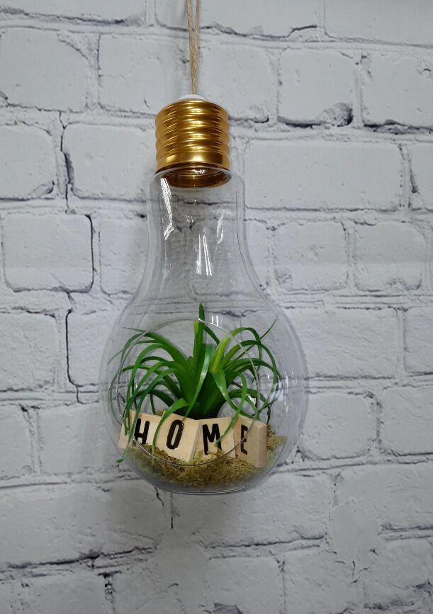 Air Plant “Home” Light Bulb