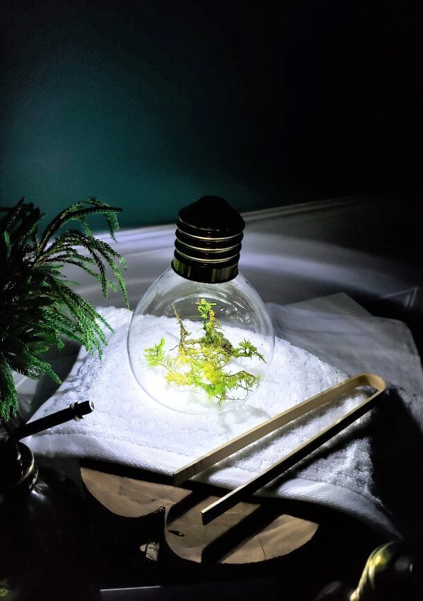 Terrarium Vase LED Light Bulb Design