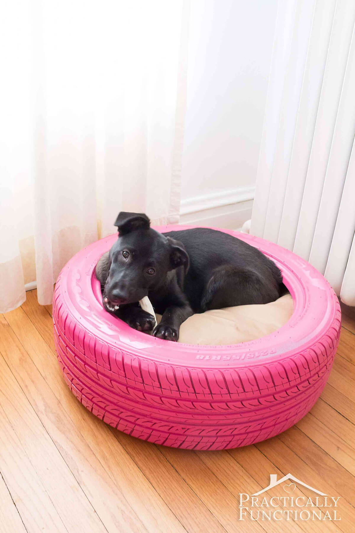 DIY Dog Bed from Recycled Tire
