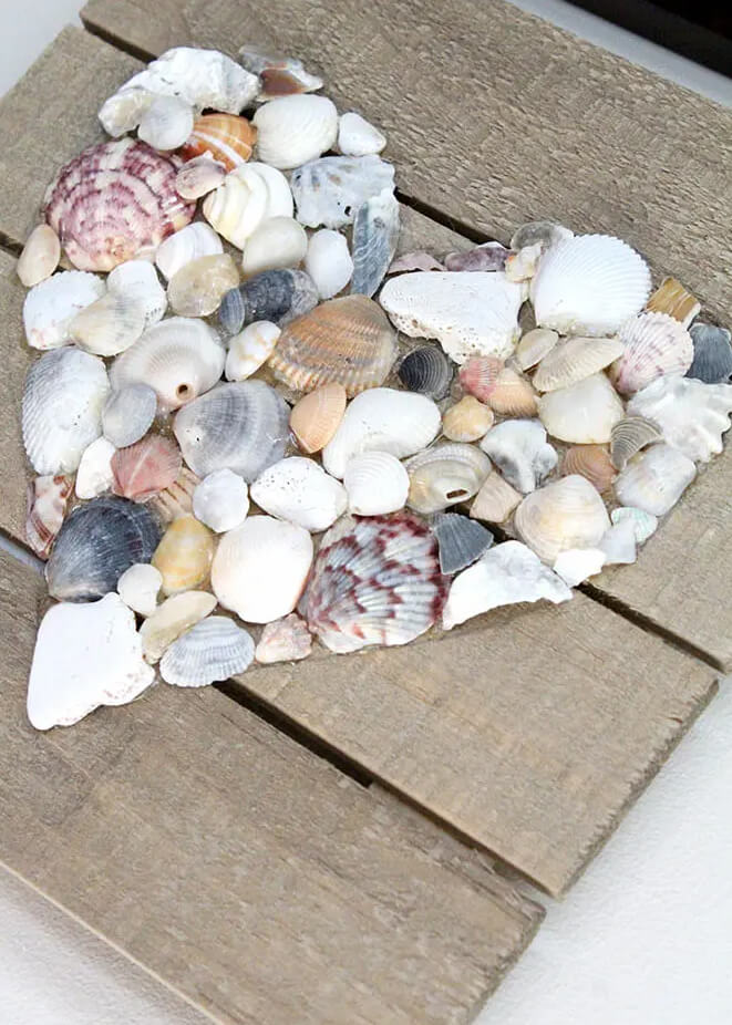 Heart Shells On A Wooden Surface