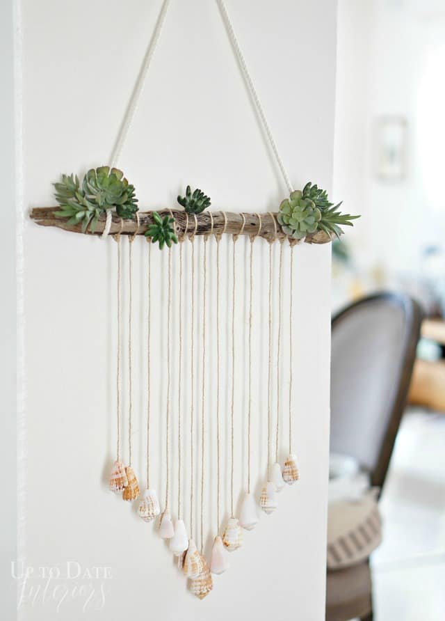 Alluring Shell Hangings on Wood