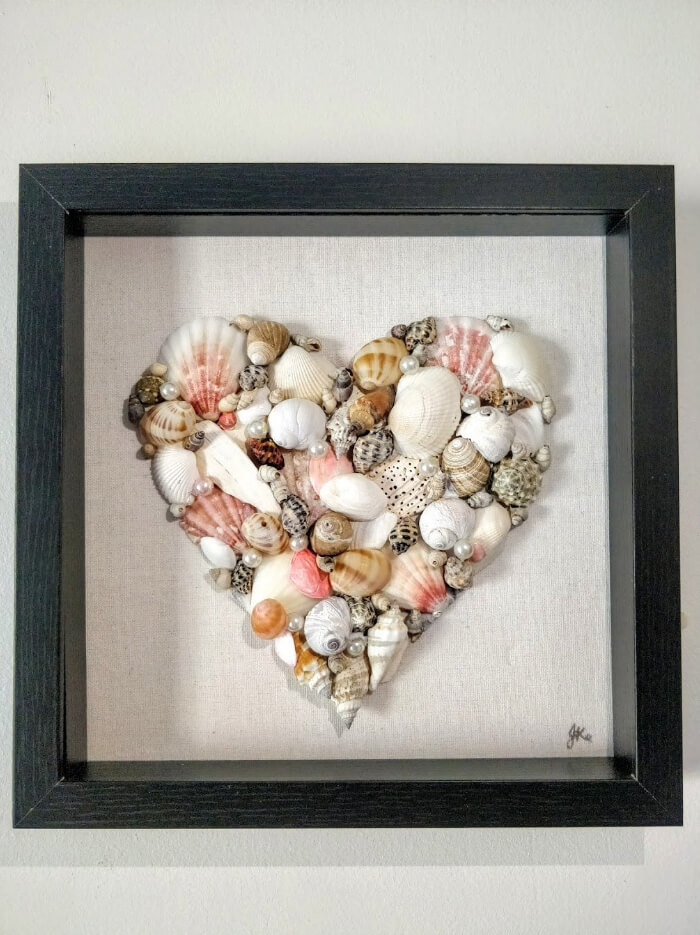 Shells of Love in a Frame