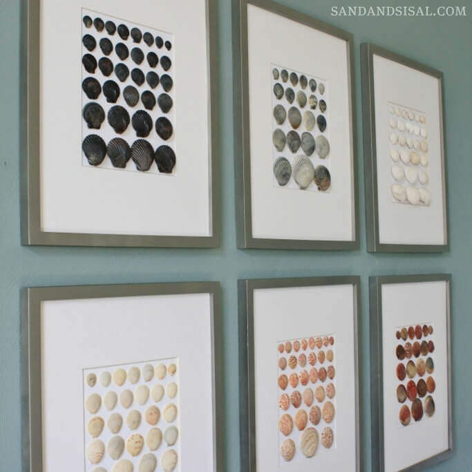 Beautiful Modern Shell Display on Wall