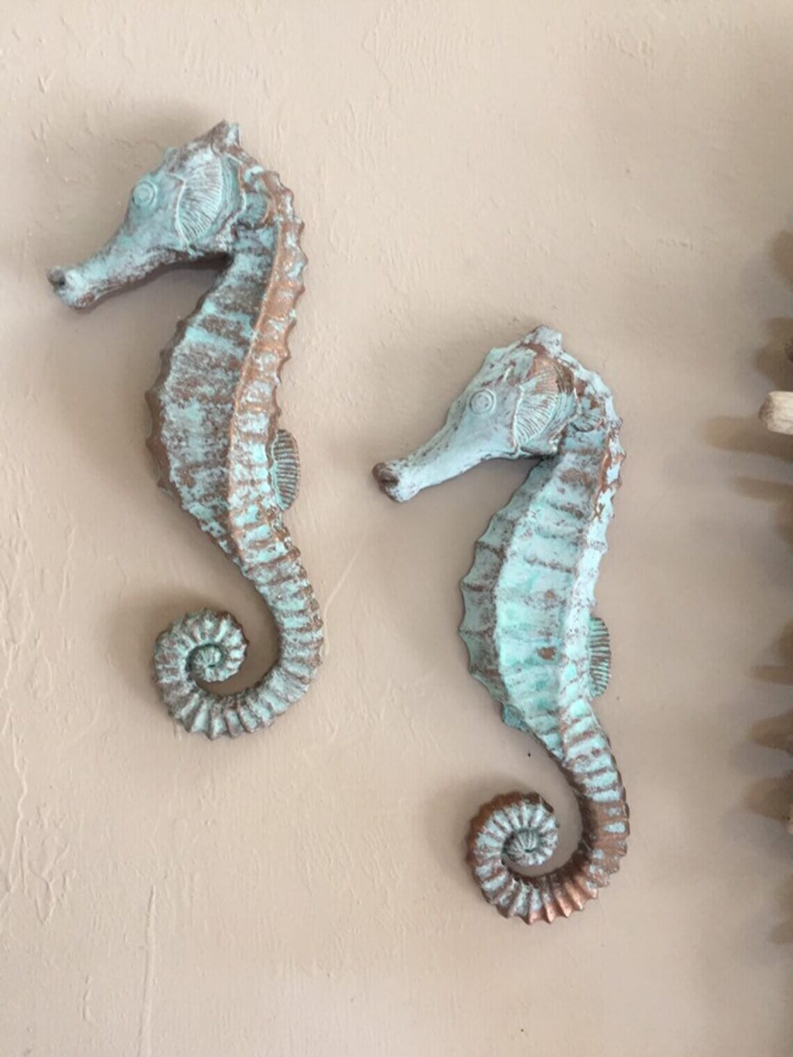 Charming Blue Seahorses in Pairs