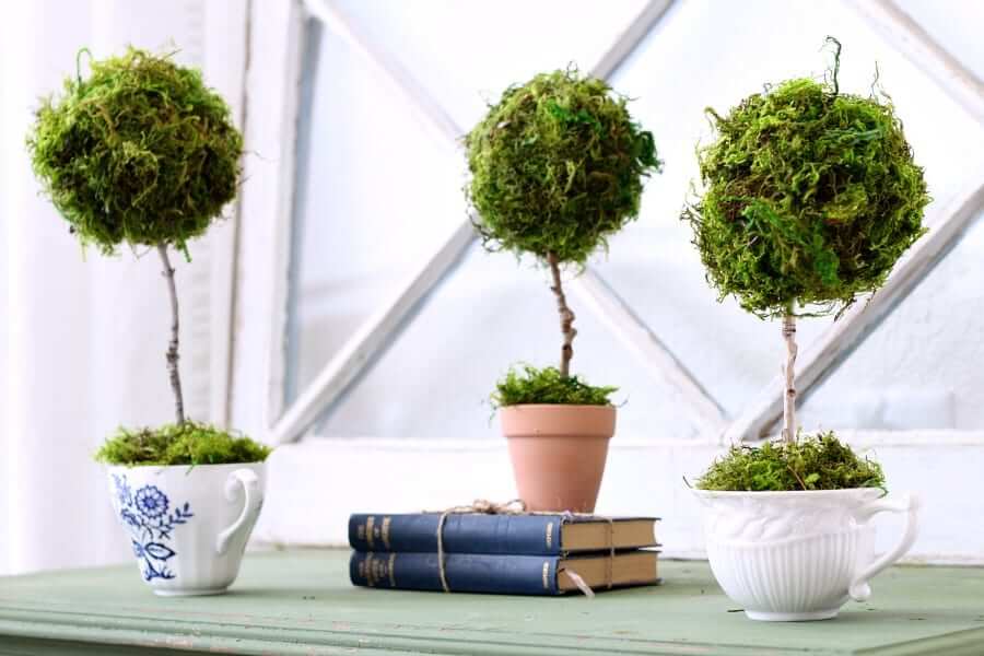 Mini Teacup Topiary