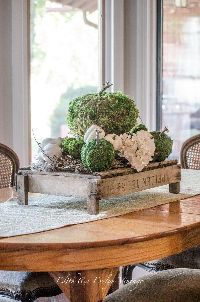 Moss Pumpkin on a Wooden Crate