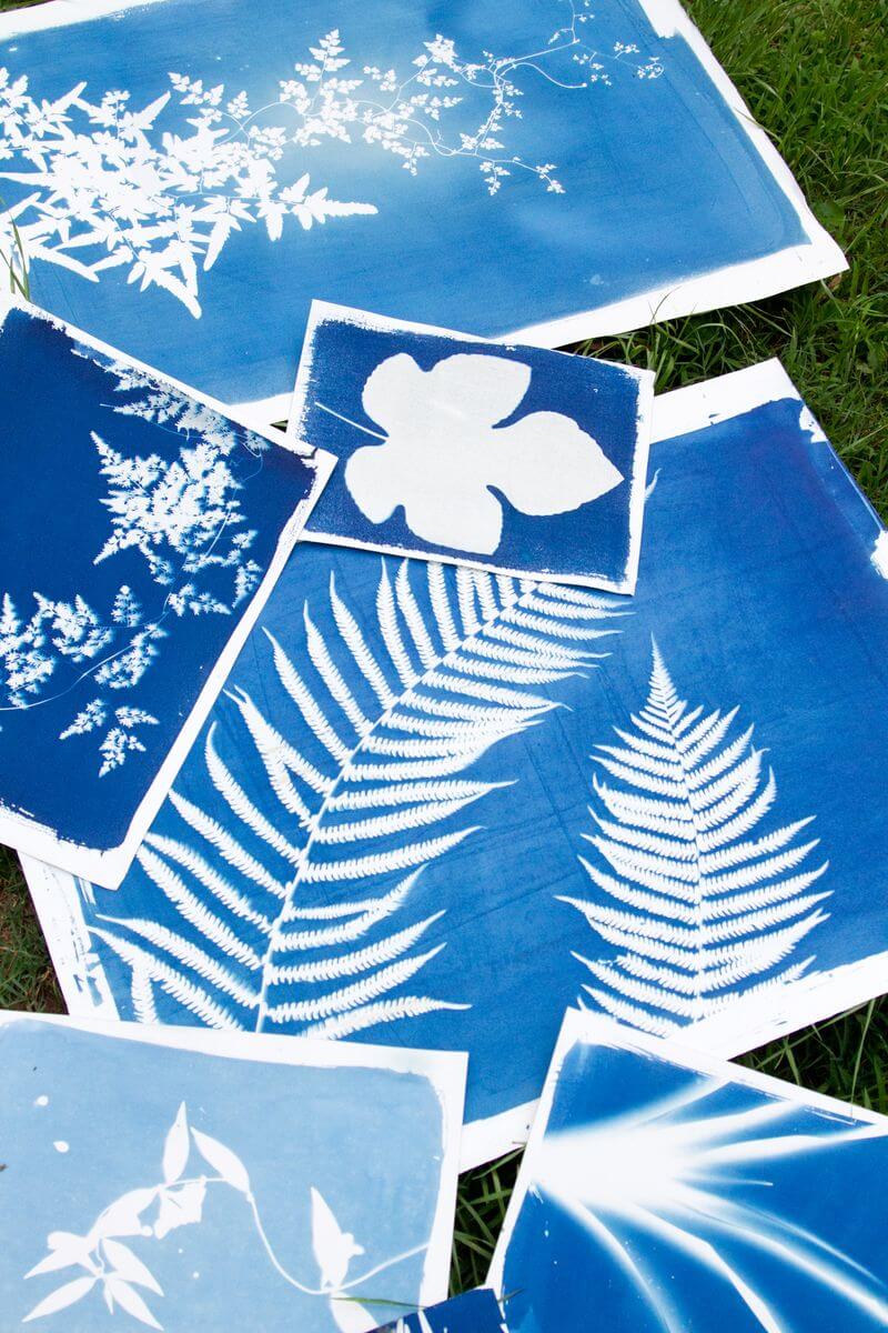 Sun Prints Made from Readily Available Objects