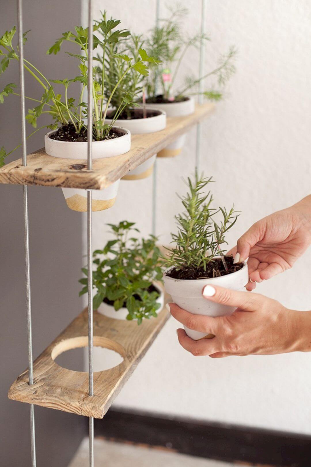 Homemade Potted Hanging Herb Garden