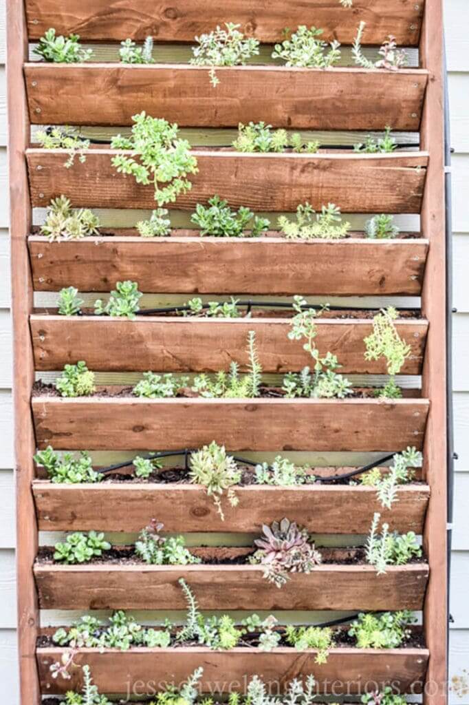 Modified DIY Herb Garden Display