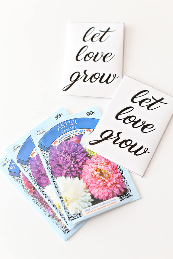 Eco-Friendly Wildflower Seed Packet Wedding Shower Favors