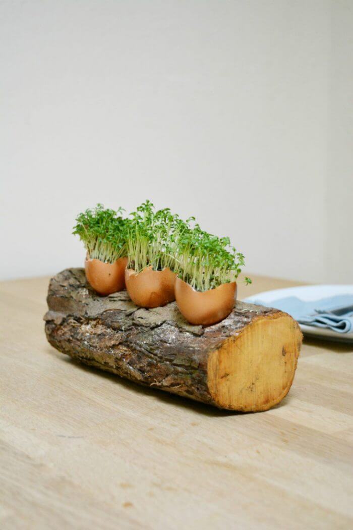 Rustic Egg Shell Easter Table Decoration