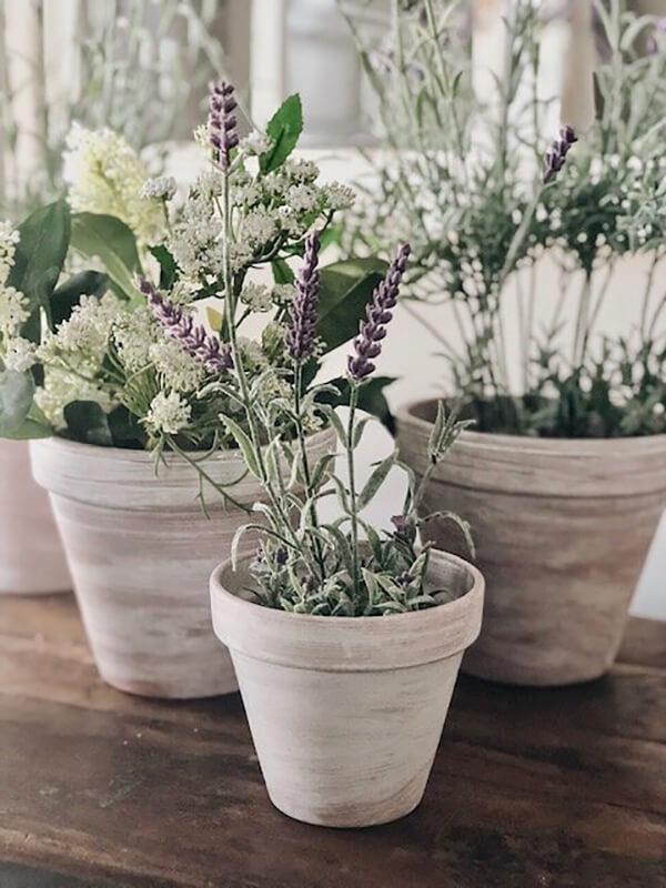 Whitewashed Terra-Cotta Pots for a Farmhouse Feel