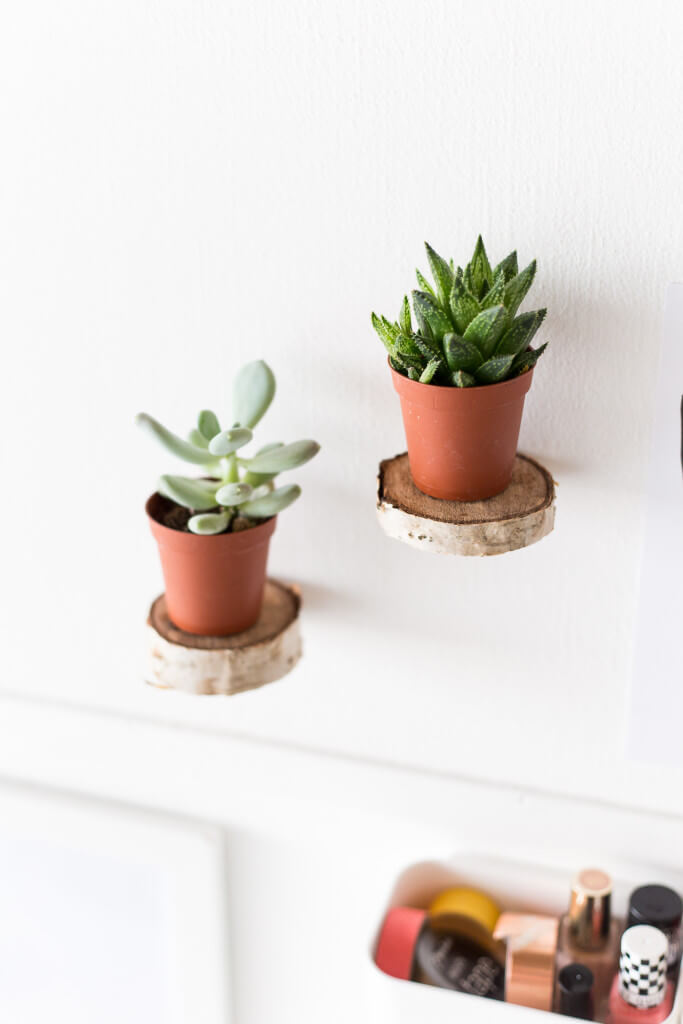 Charming Wood Round Floating Plant Shelves