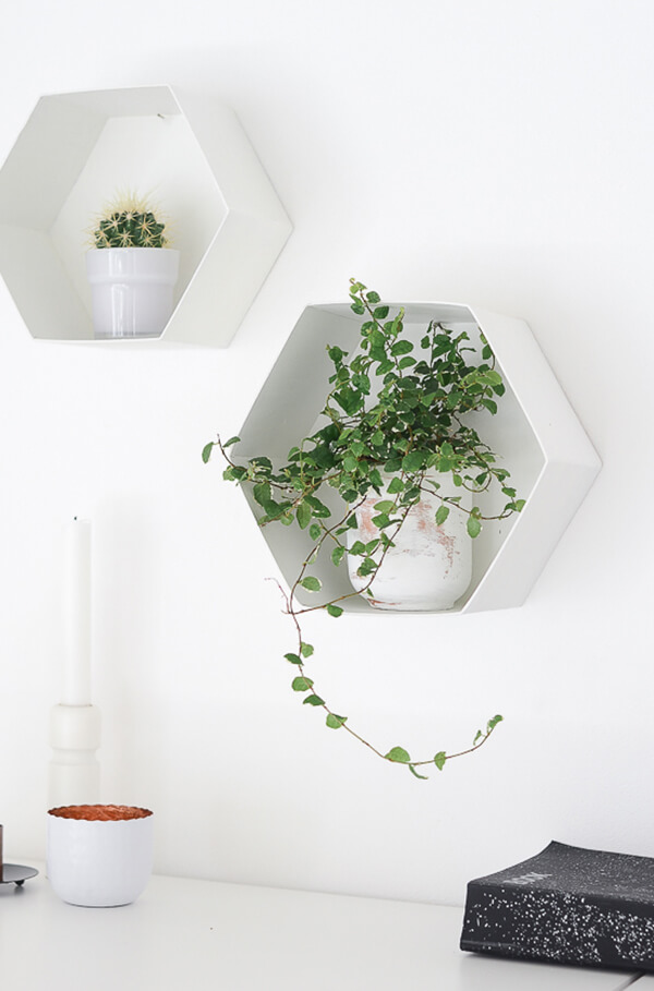 Homemade Hexagon Wall Shelves for Plants