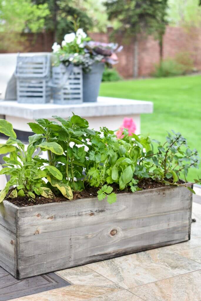 Charming Compact Herb Garden Design