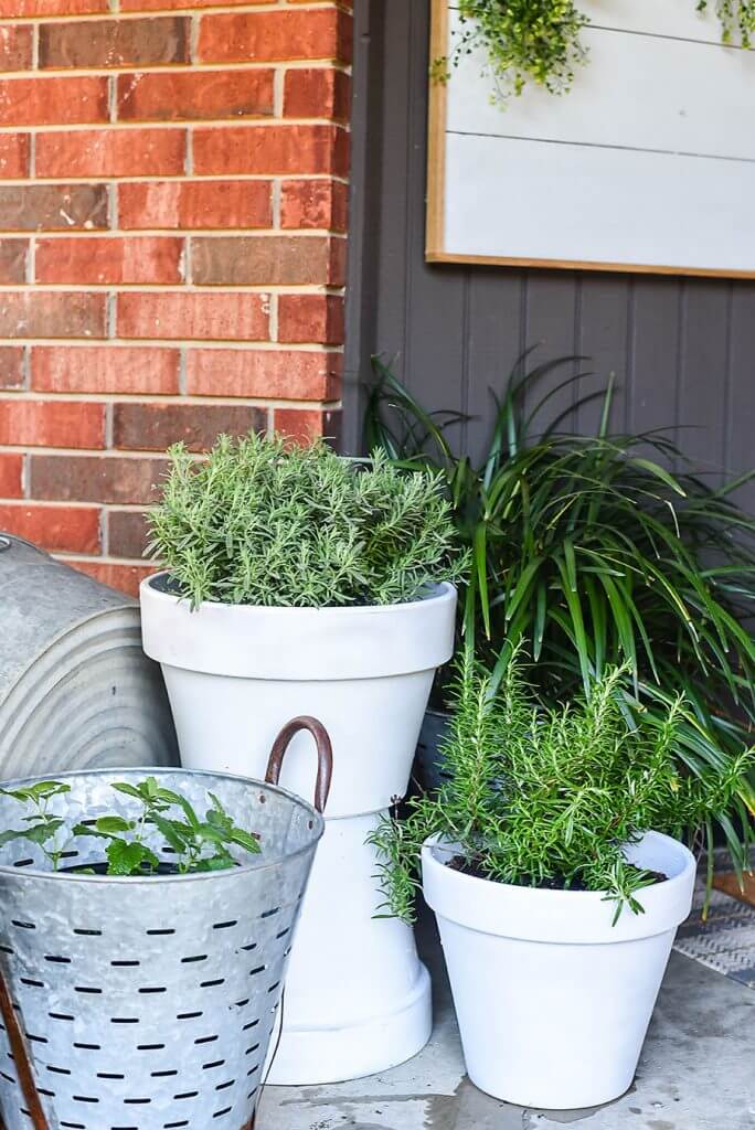 Tall Multi-Styled Porch Potted Plants