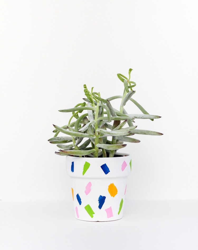 Decorating a Flowerpot with Colorful Brushstrokes