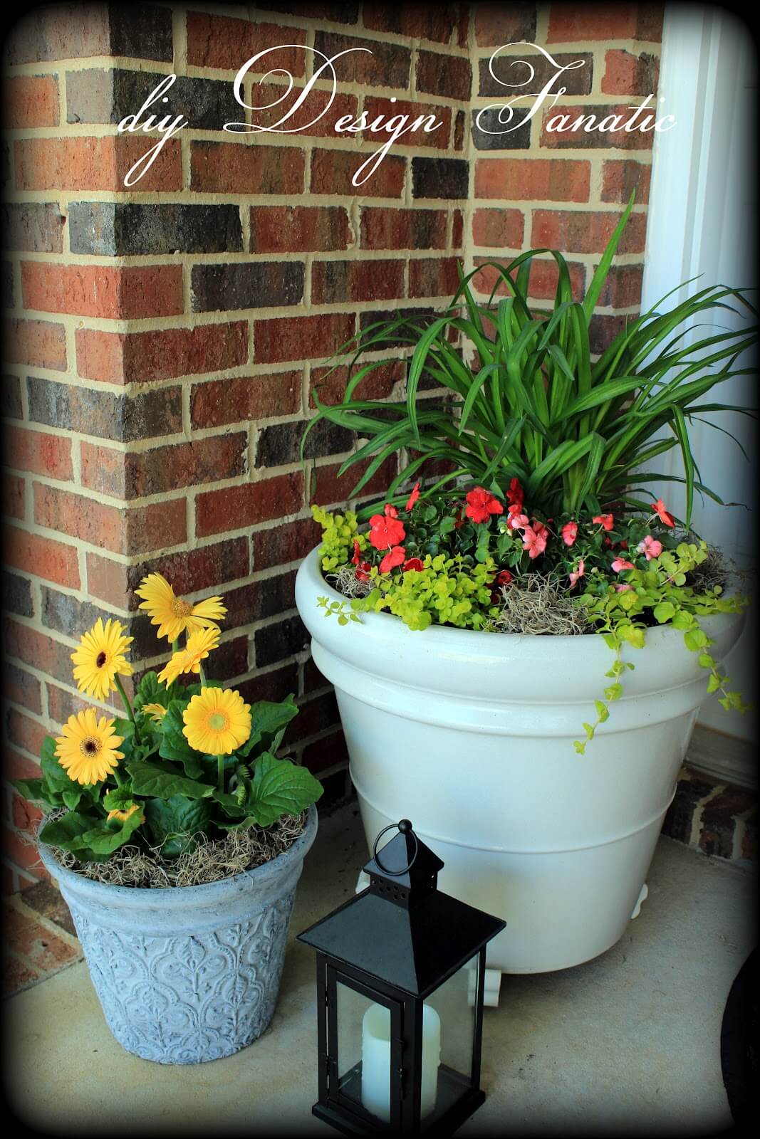 Big and Small Planter Combo