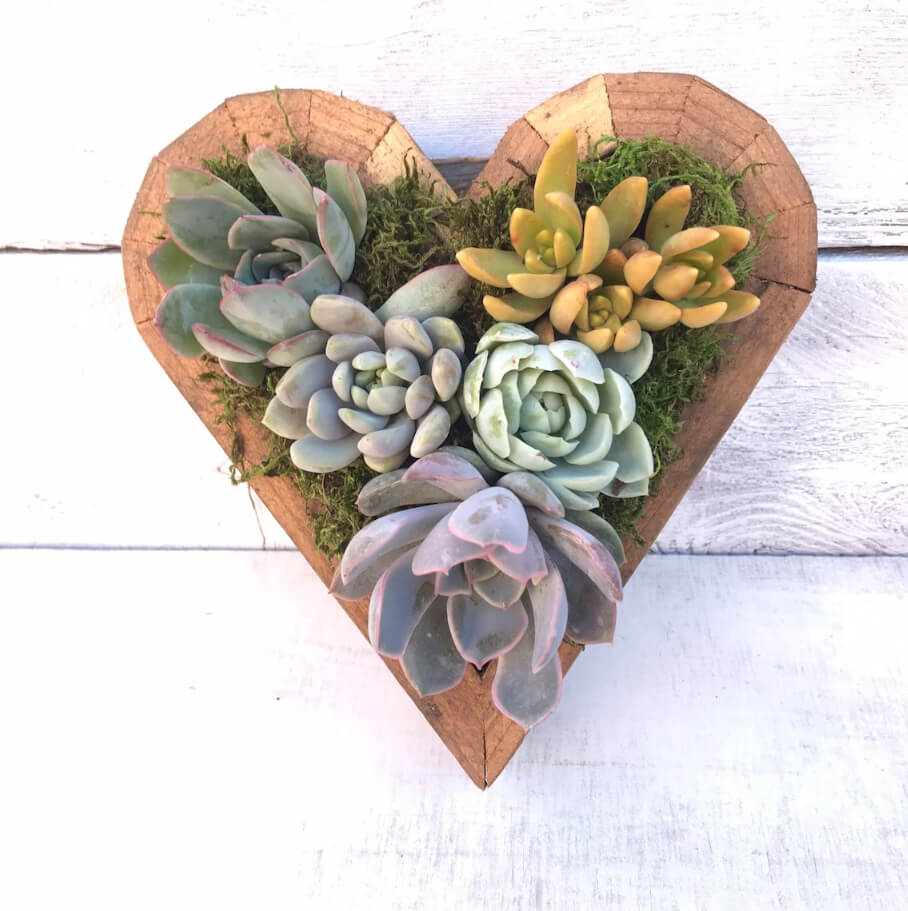 Sweet Heart Shaped Succulent Garden