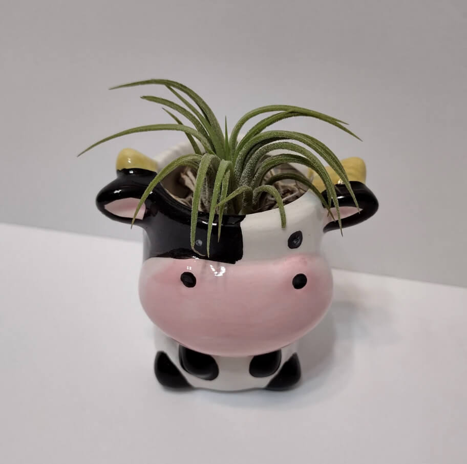 Ceramic Cow that Includes a Living Plant