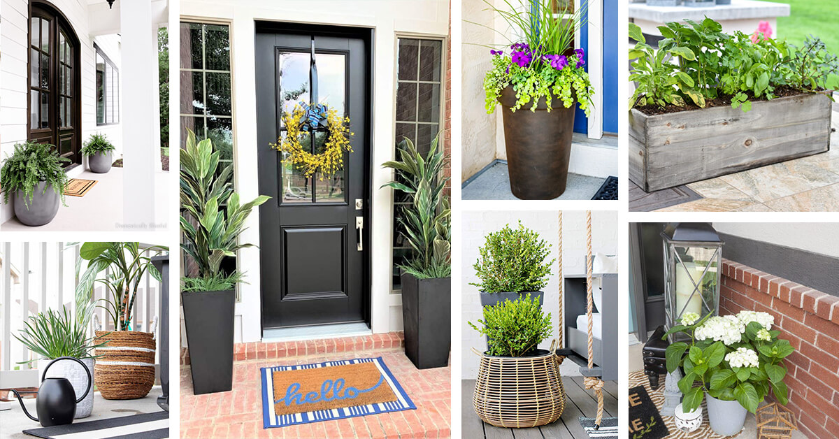Featured image for “14 Stunning Front Porch Plants that will Bring Color to Your Yard”