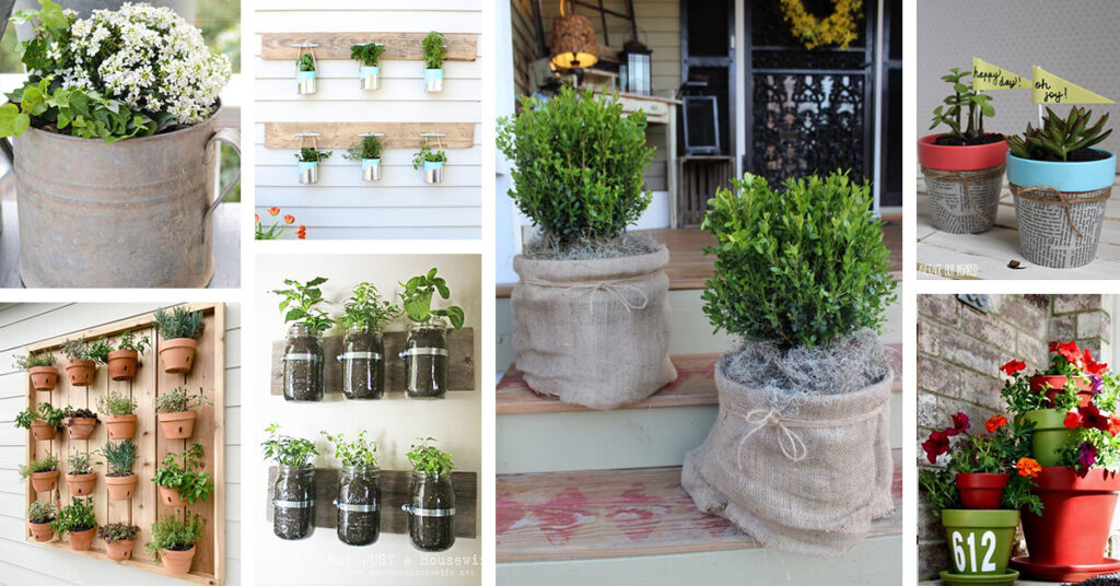 22 Potted Plant Arrangement Ideas