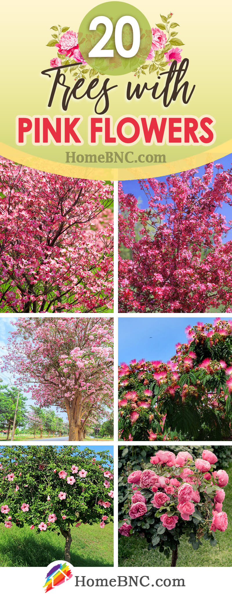 Trees with Pink Flowers