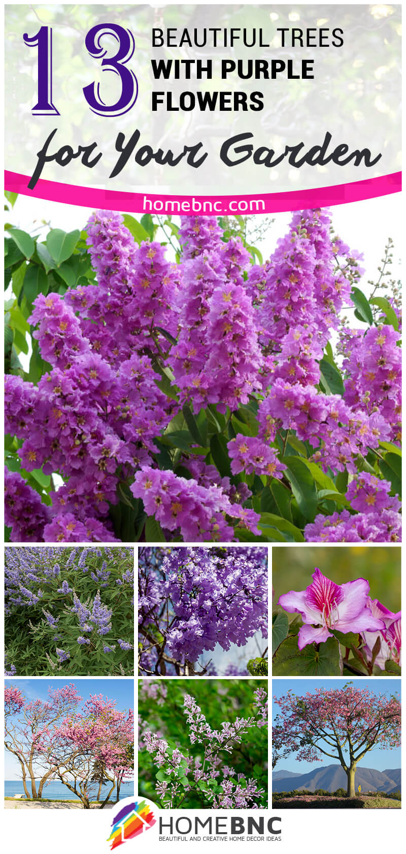 Trees with Purple Flowers