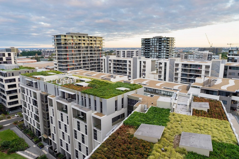 Challenges of growing plants on a green roof