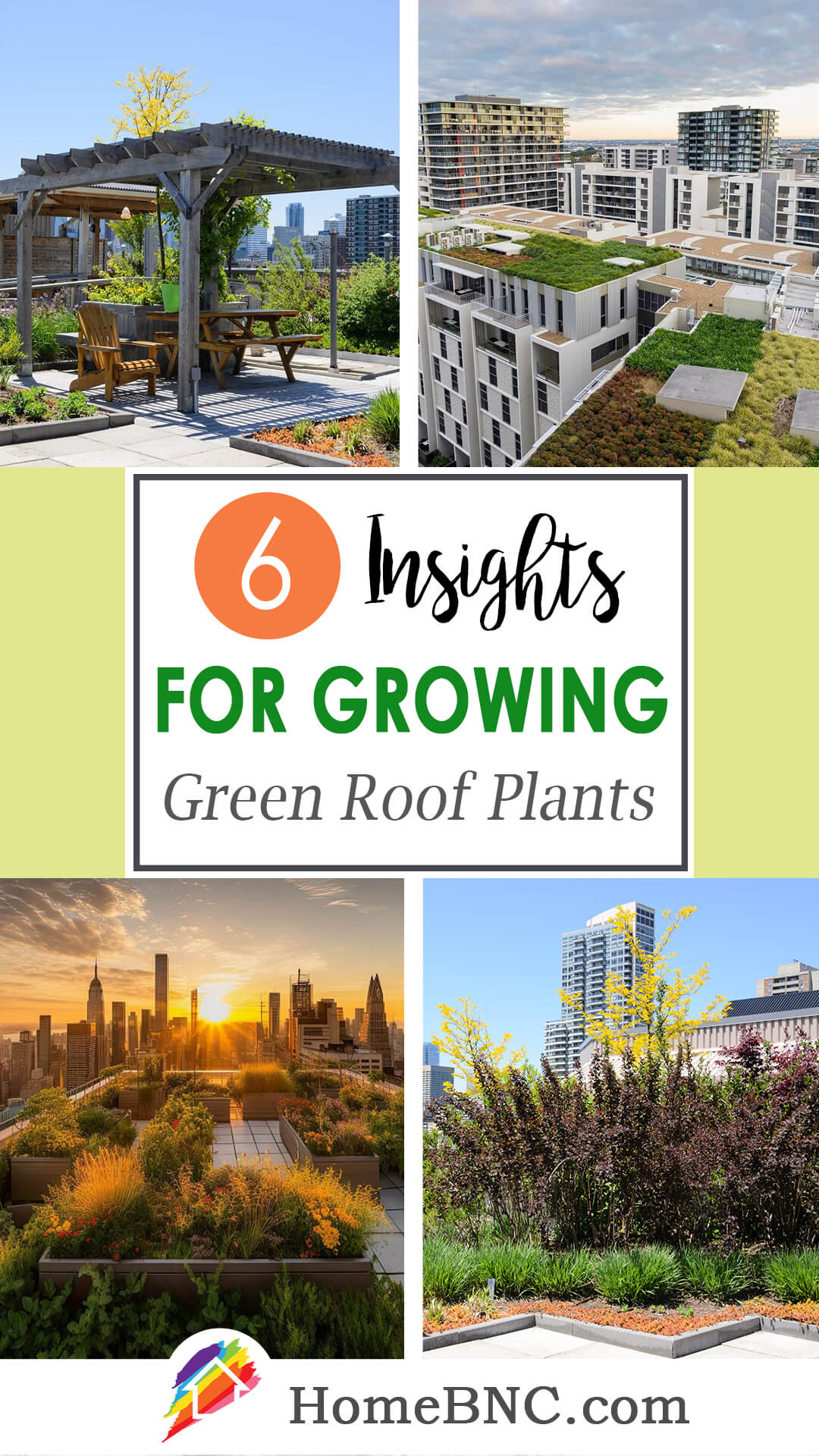 Green roof plants