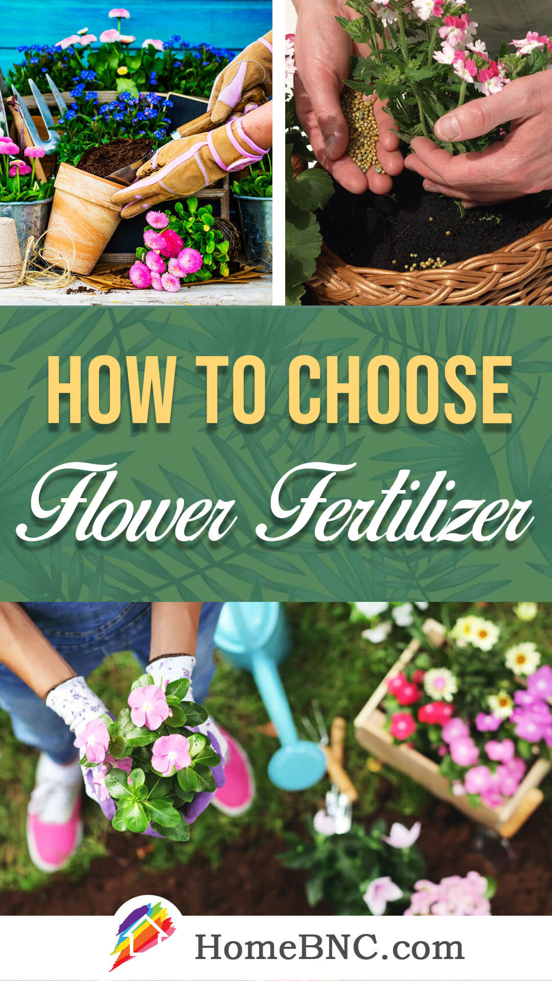 How To Choose Flower Fertilizer