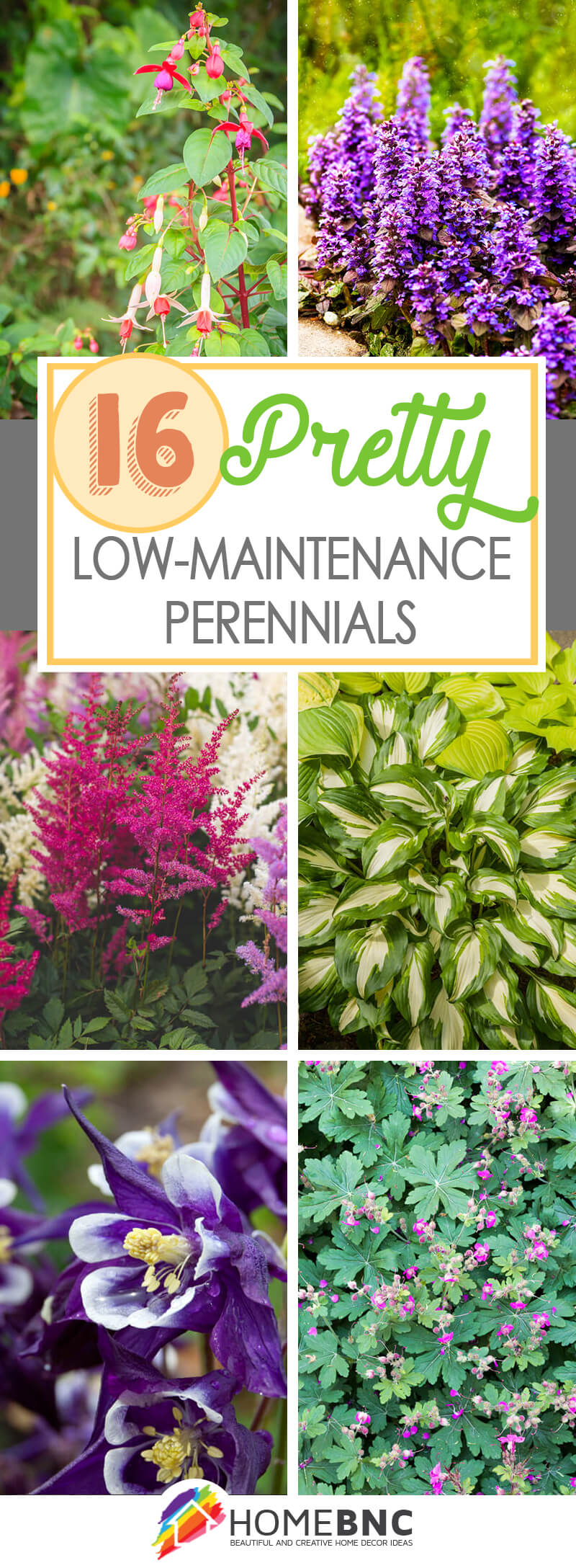 Low-maintenance Perennials for Shade