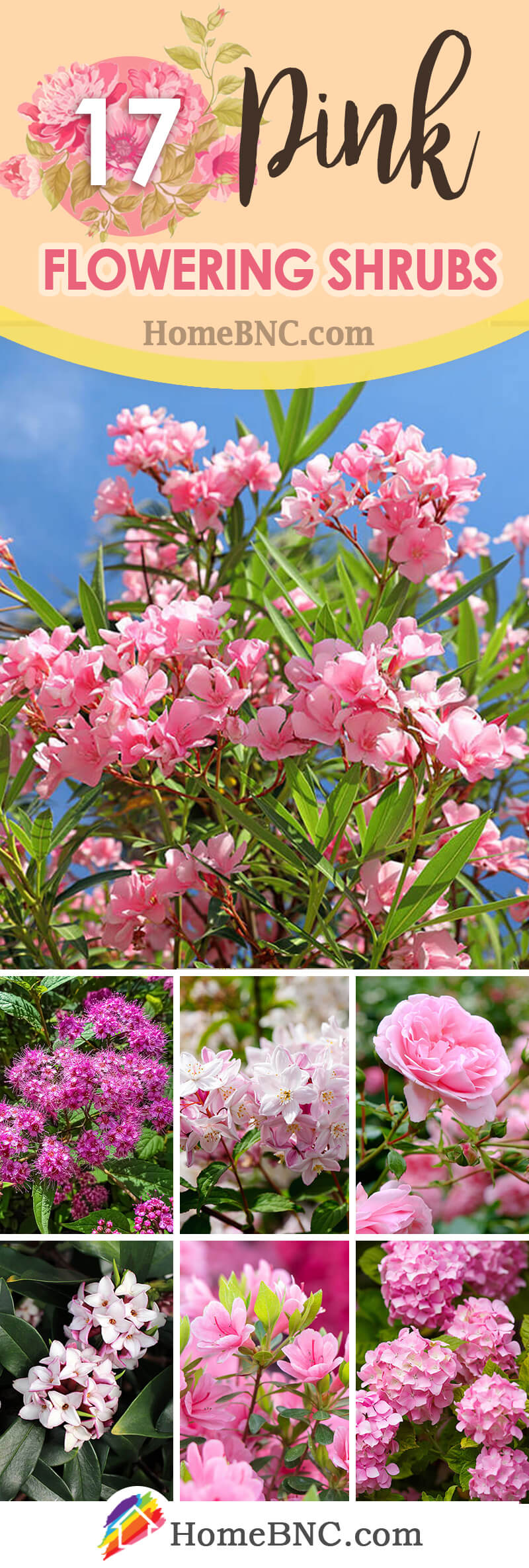 Pink flowering shrubs