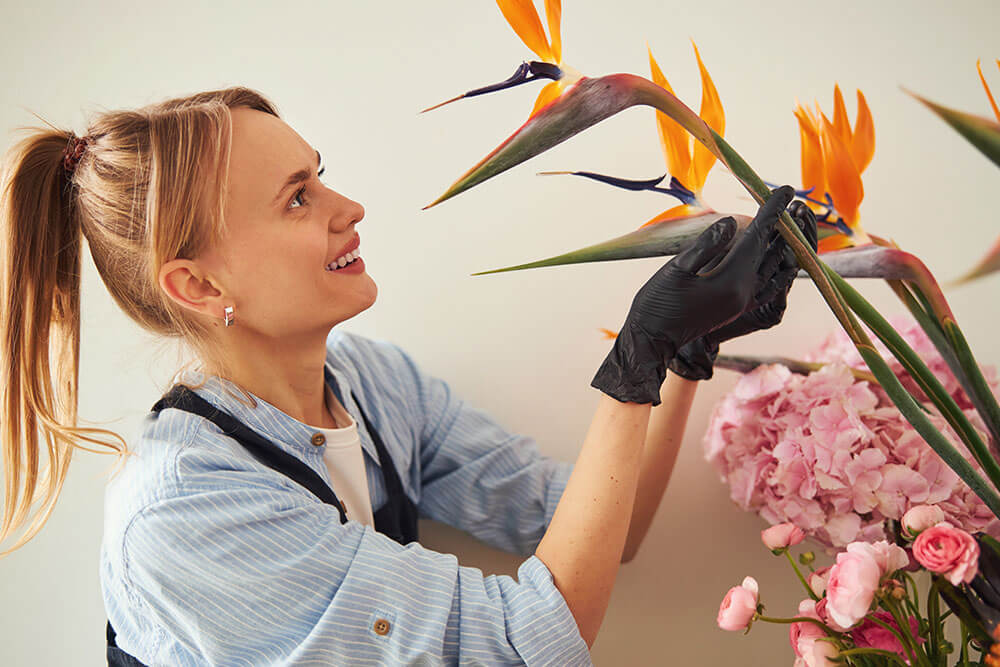 Bird of Paradise Care: Pruning and Maintenance
